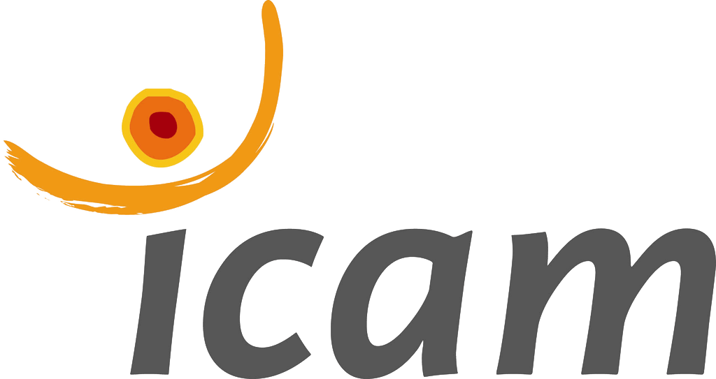 logo ICAM