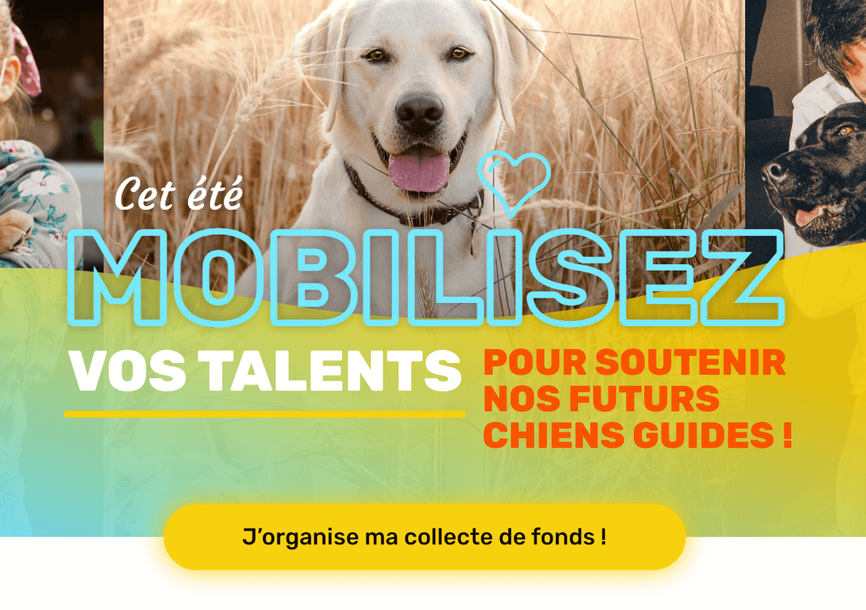 univers coloré des chiens guides campagne p2p