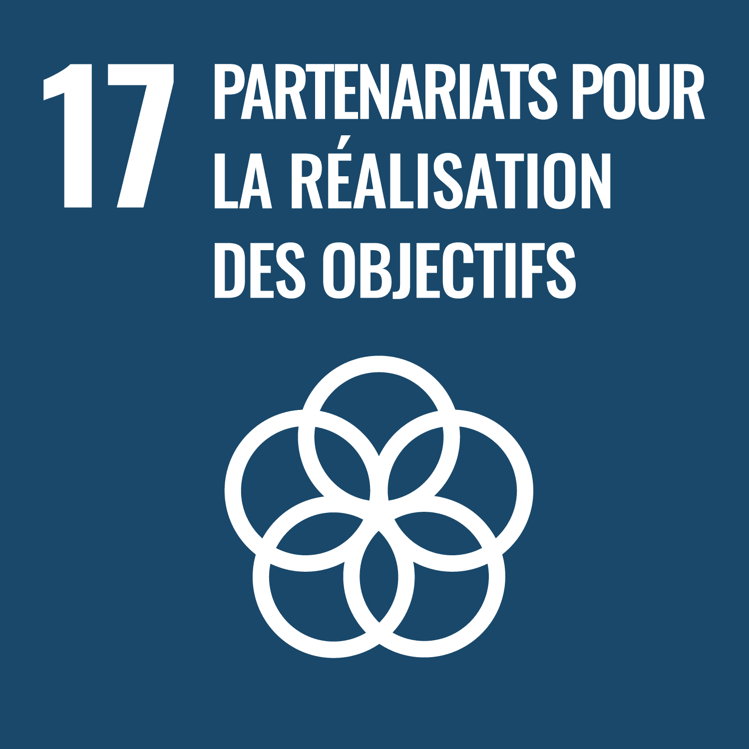 odd objectif 17 partenariats pour la réalisation des objectifs